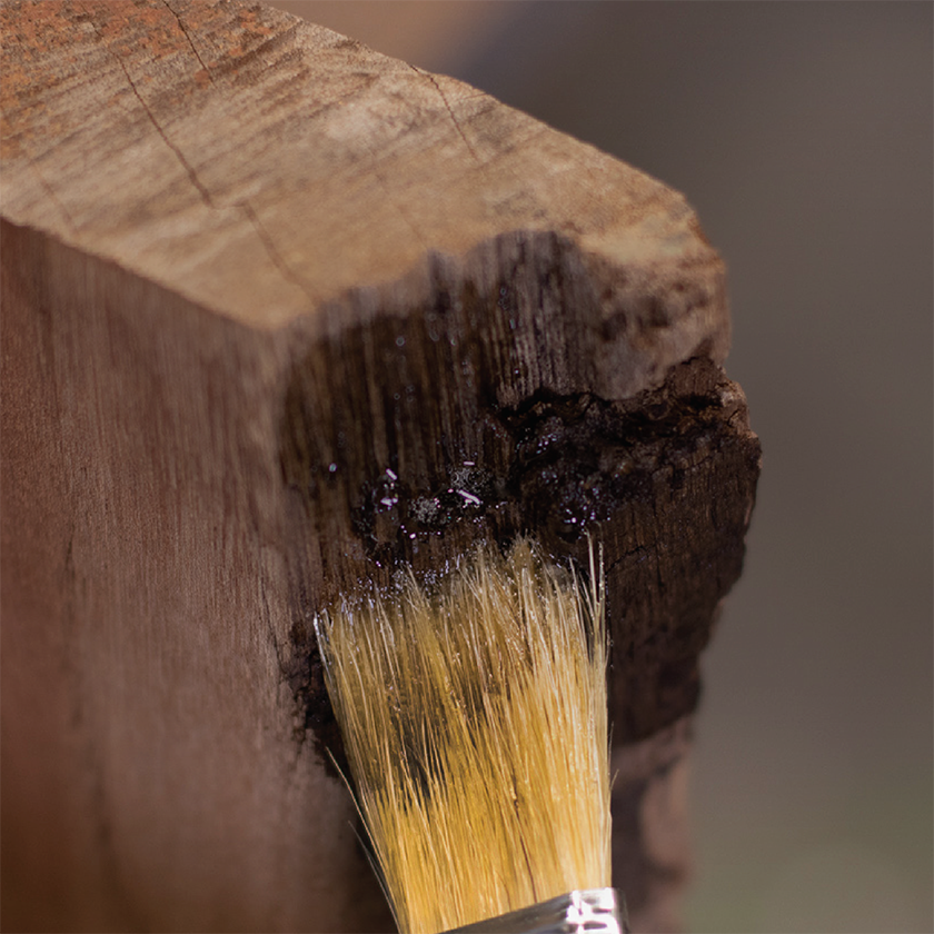 Revive Punky Wood with Penetrating Epoxy Sealer #epoxywood 